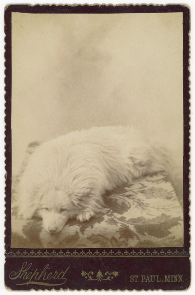 Greg French Early Photography