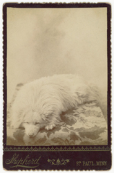 Greg French Early Photography