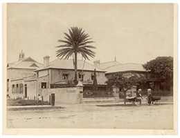 Greg French Early Photography